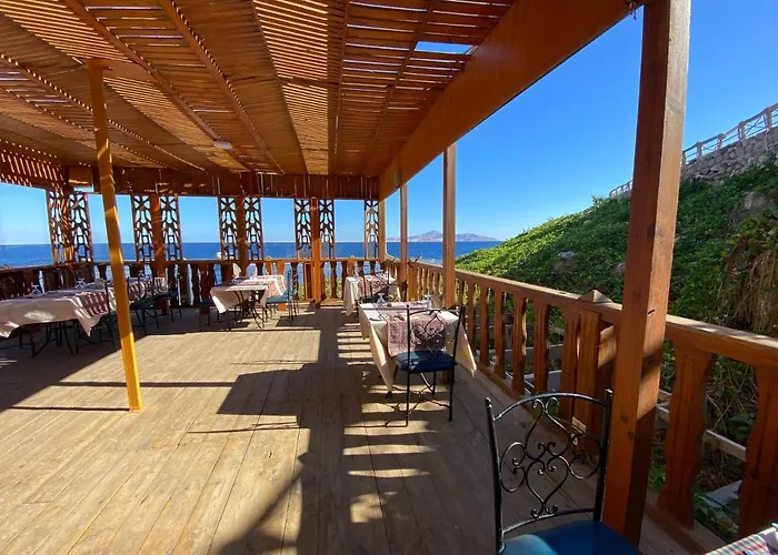 Parrotel Resort